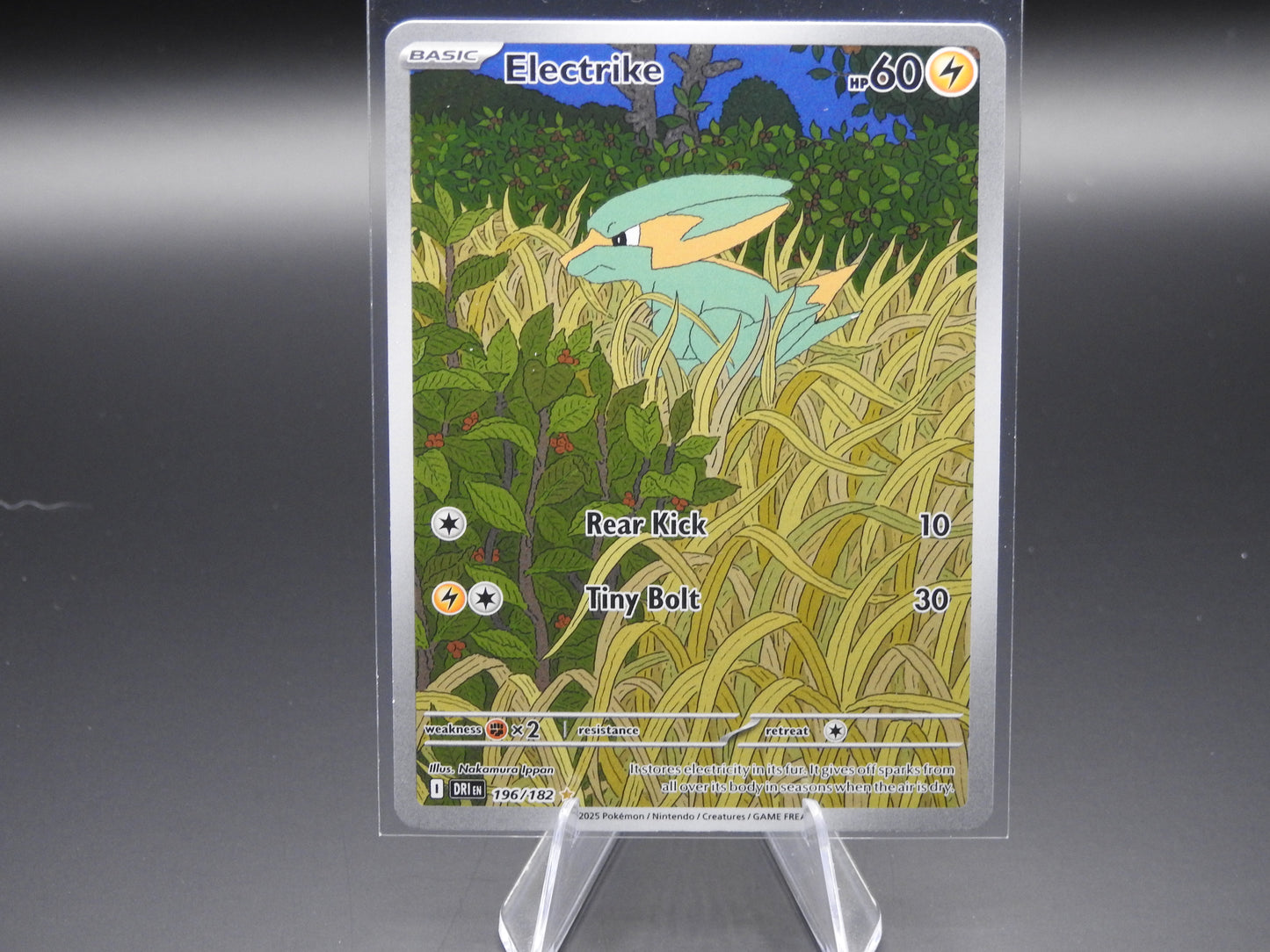 Electrike 196/182 NM IR