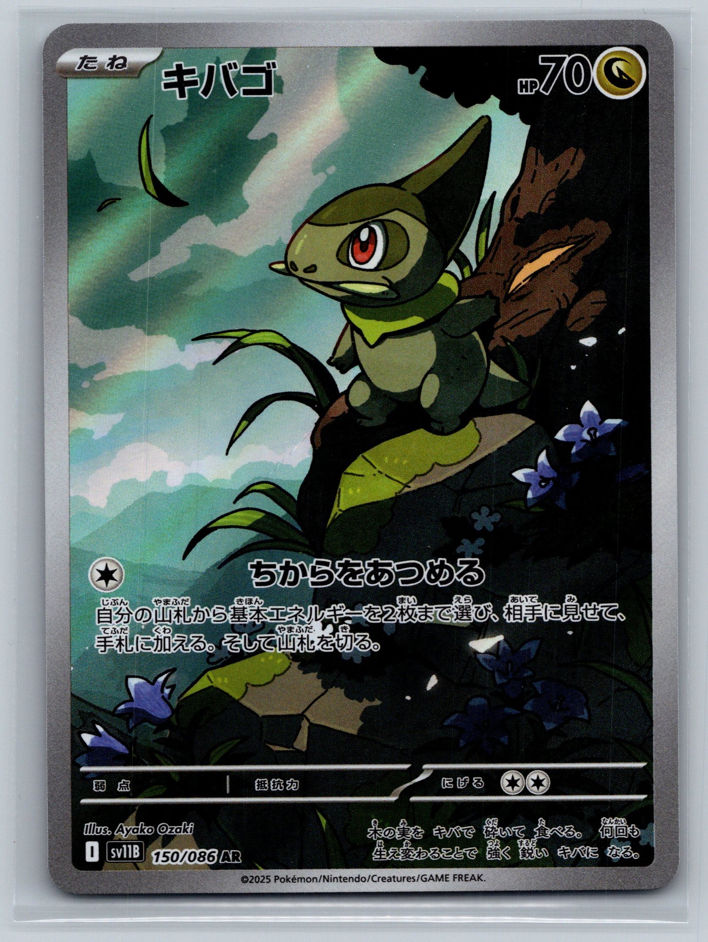 Axew - 150/086 - SV11B: Black Bolt