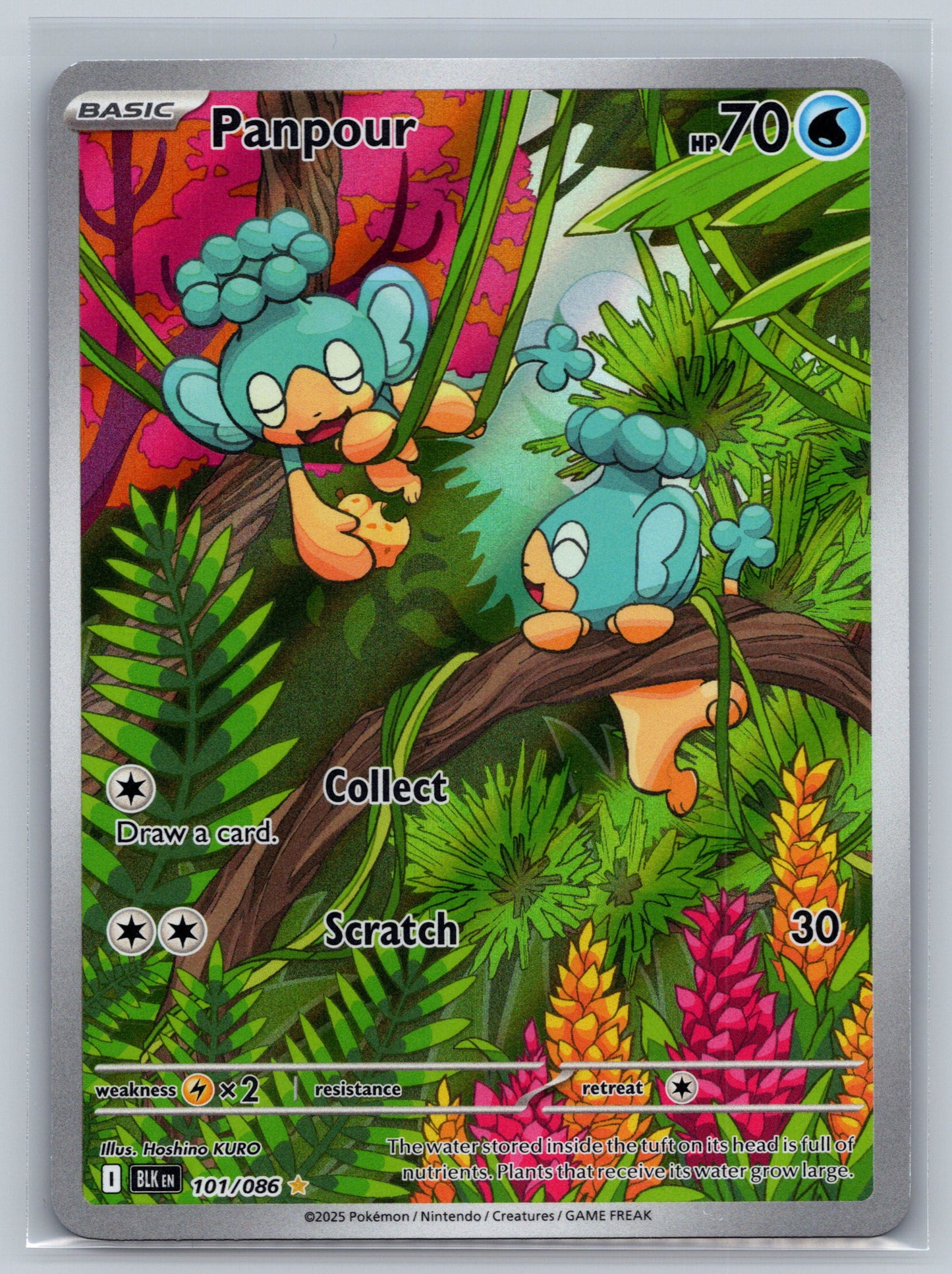 Panpour - 101/086 - SV: Black Bolt